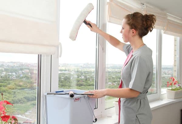 Fensterreiniger
