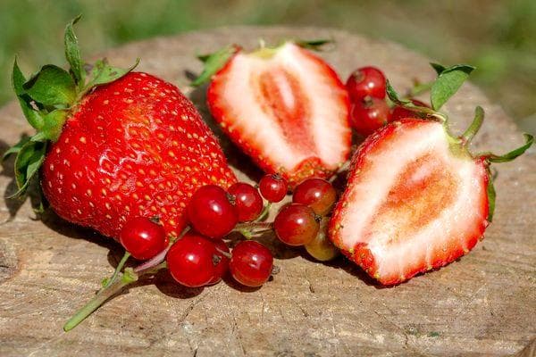 Erdbeermarmelade ohne Kochen