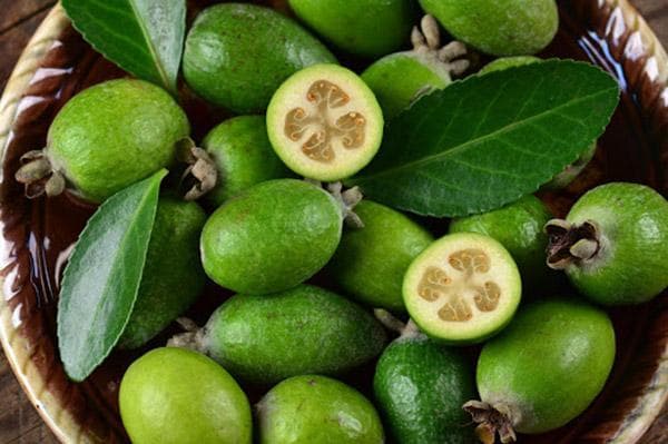 Frische Feijoa-Früchte