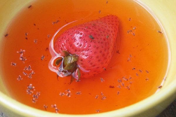 Falle für Trauermücken – Sirup mit Erdbeeren