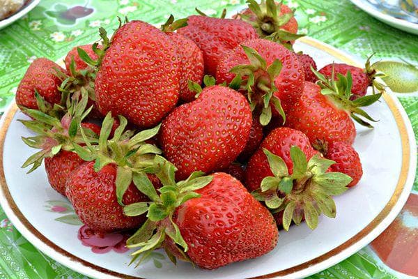 Ein Teller mit Erdbeeren