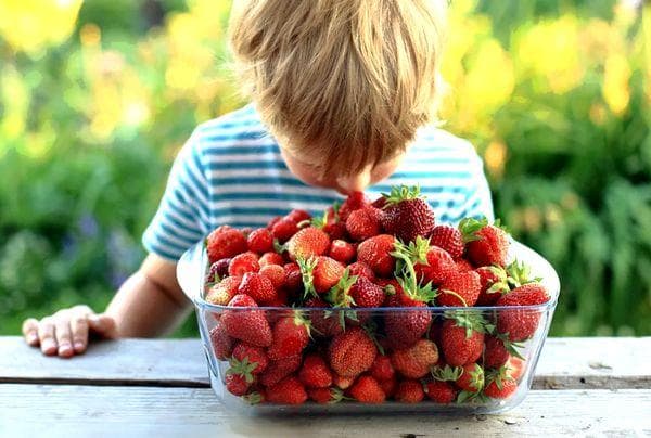Ein Junge und eine Schale mit Erdbeeren