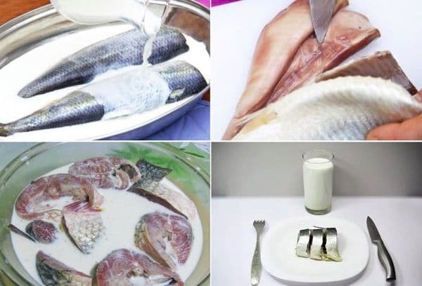 Fisch in Milch