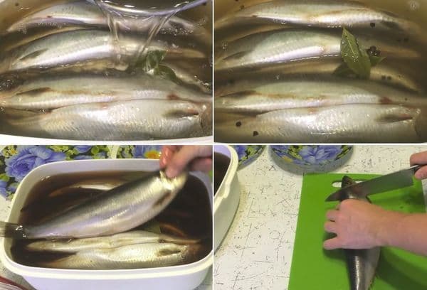 Fisch in Marinade