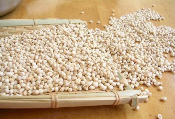 Sorghum-Getreide 3