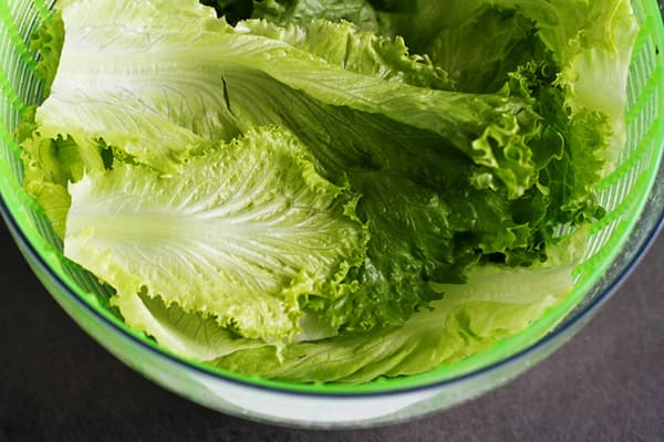 Gewaschene Salatblätter