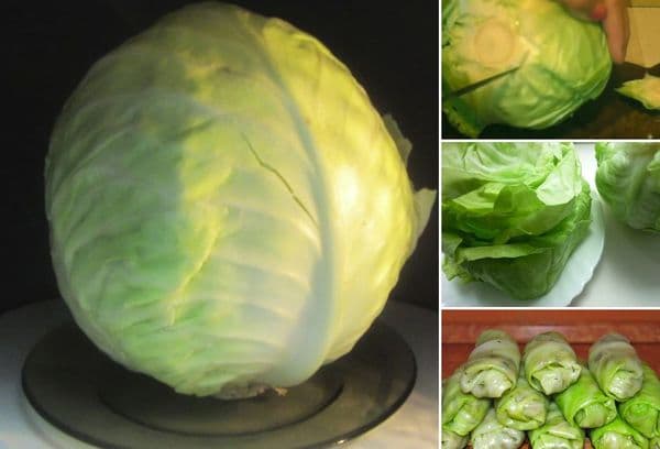 Kohl in der Mikrowelle
