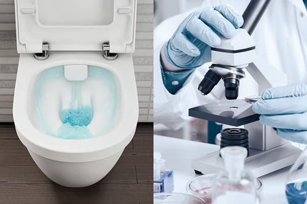 Untersuchung der mikrobiologischen Umgebung in der Toilette