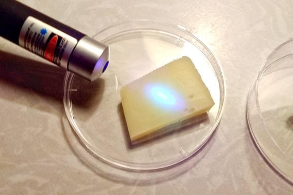 Käseprüfung mit ultraviolettem Licht