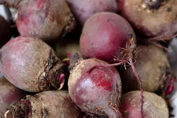 Frische Rote Bete