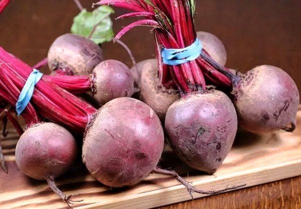 Haltbarkeit von Rote Bete