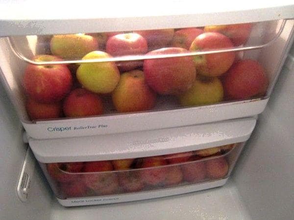 Lagerung von Äpfeln im Kühlschrank