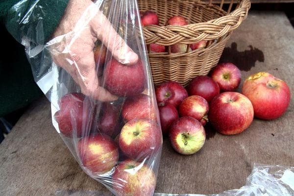 Äpfel in Plastiktüten