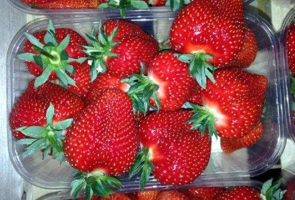Gekaufte Erdbeeren