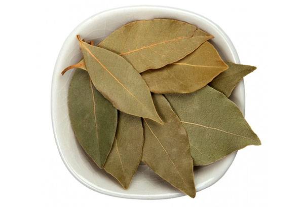 Lorbeerblatt