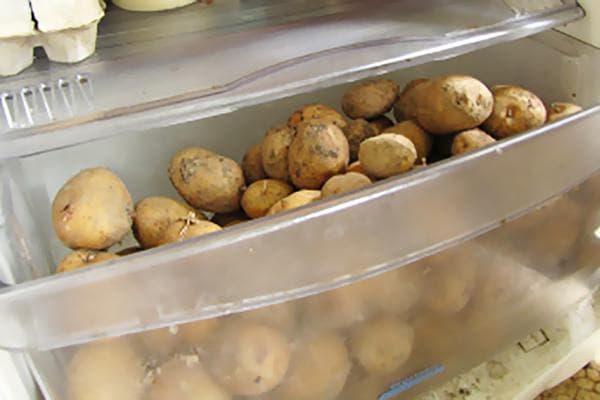 Kartoffeln im Gemüsefach des Kühlschranks