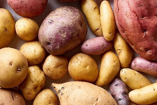Verschiedene Sorten und Arten von Kartoffeln