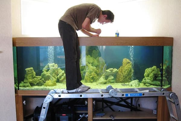 Aquarienreinigung