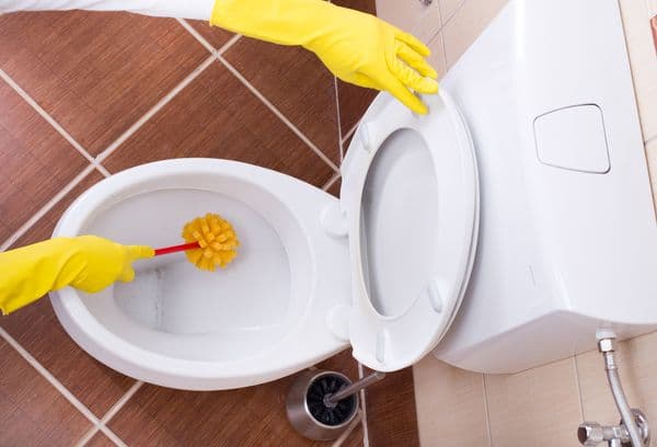 Toilettenreinigung
