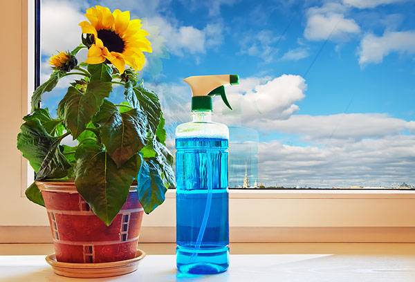 Lösungsmittel zum Reinigen von Glas von Grundierung