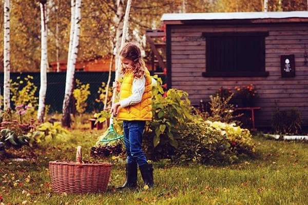 Nettoyage du terrain en automne