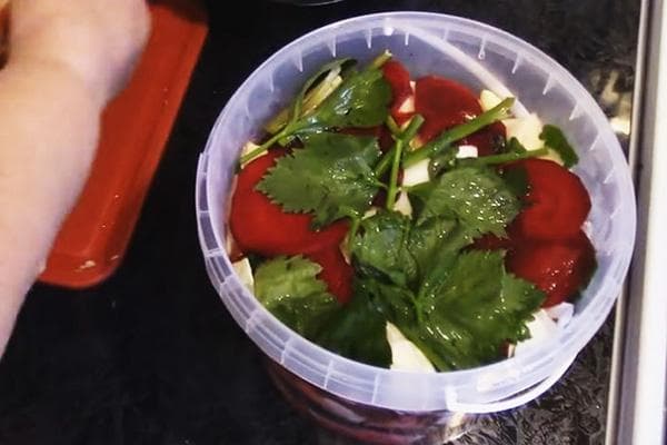 Kräuter und Gemüse im Plastikeimer