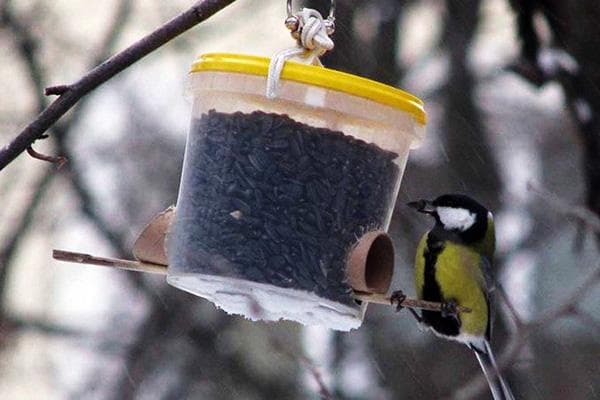 Vogelfutterhaus aus einem Plastikeimer