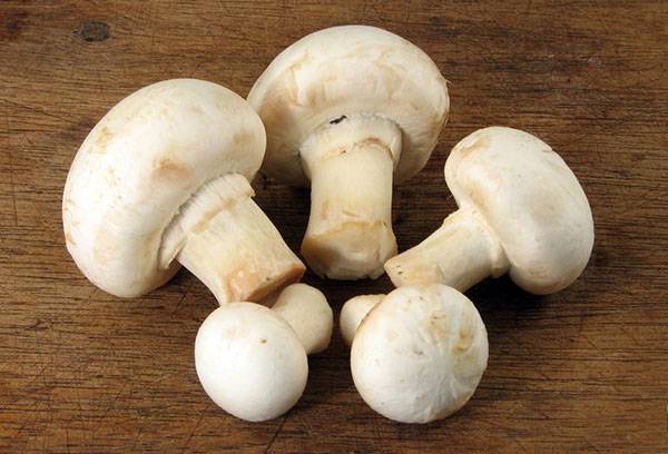 Ganze Champignons zum Einfrieren