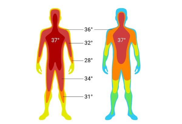 Körpertemperatur