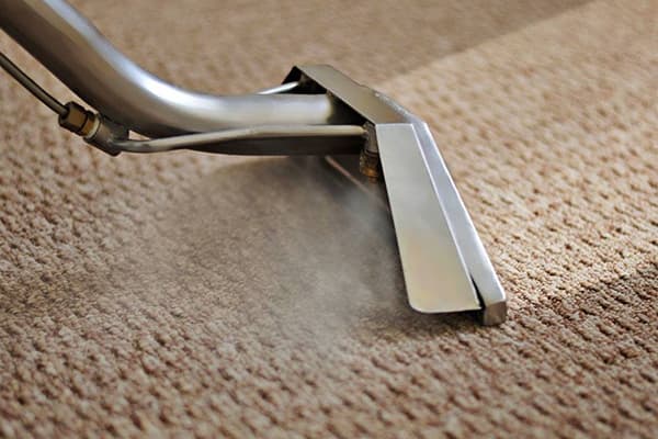 Reinigung des Teppichs mit einem Dampfreiniger