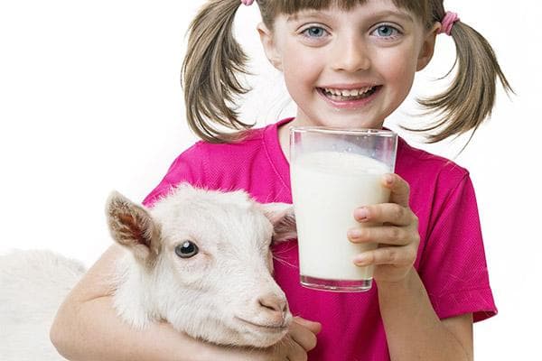 Mädchen trinkt Ziegenmilch
