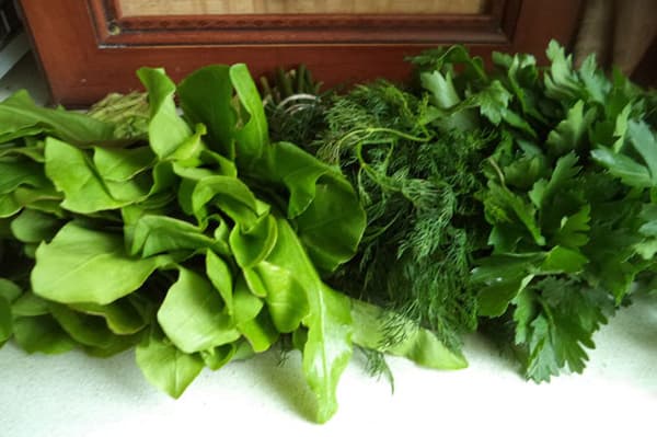 Sauerampfer, Dill und Petersilie
