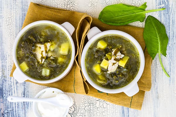 Grüner Borschtsch mit Sauerampfer