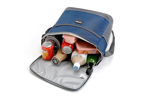 Kühltasche mit Lebensmitteln