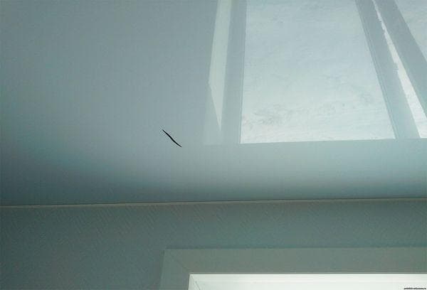 Mechanische Beschädigungen der Decke