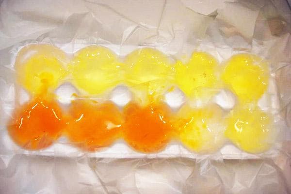 Einfrieren von aufgeschlagenen Eiern im Karton