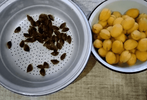 Aprikosenmarmelade mit Kernen 4