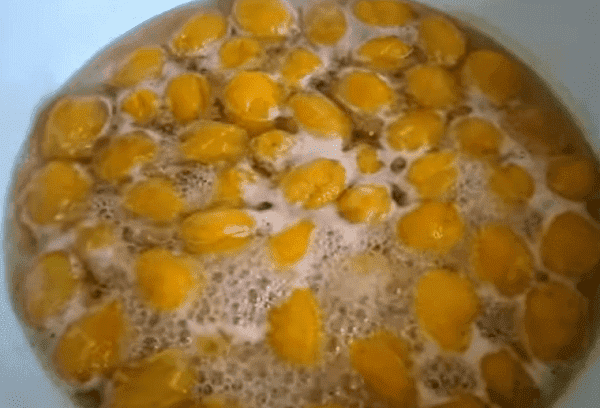 Aprikosenmarmelade mit Kernen 7