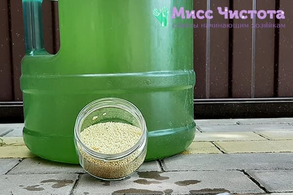 Millet et bonbonne de 19 litres verdie de l'intérieur