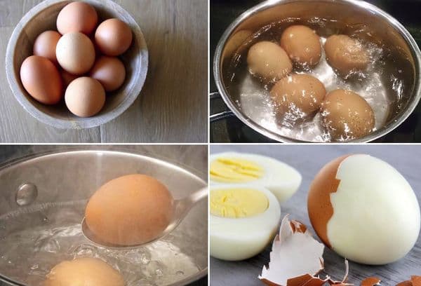 Das Kochen von Eiern