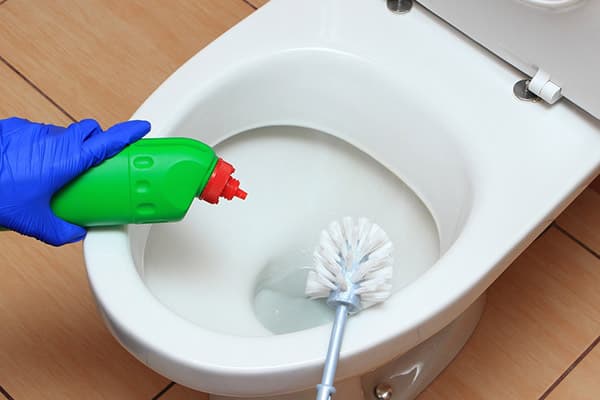 Reinigung der WC-Bürste