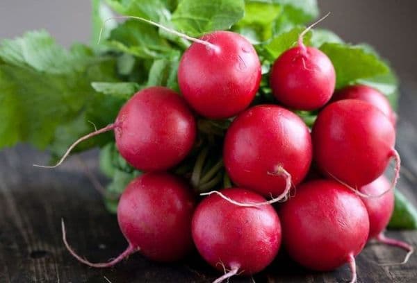 Frische Radieschen