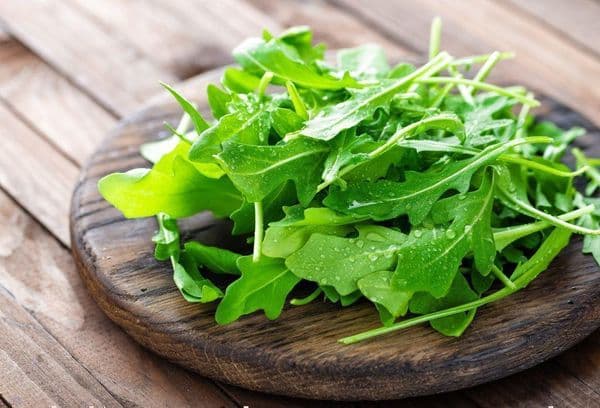 Frische Rucola