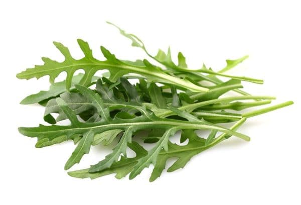 Einfrieren von Rucola