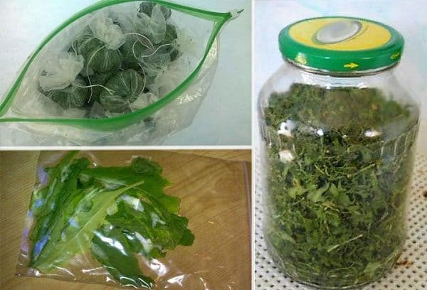 Rucola zu Hause trocknen