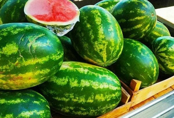 Verkauf von Wassermelonen