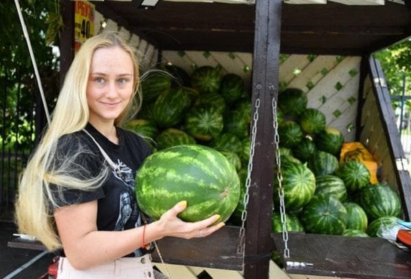 Auswahl und Kauf von Wassermelonen