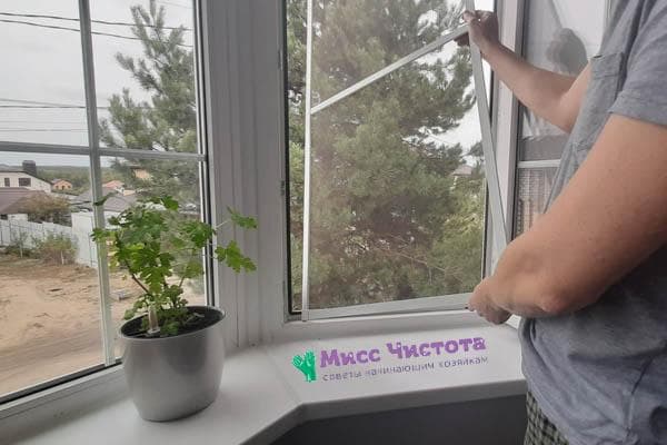 Entfernen des Insektenschutznetzes vom Fenster