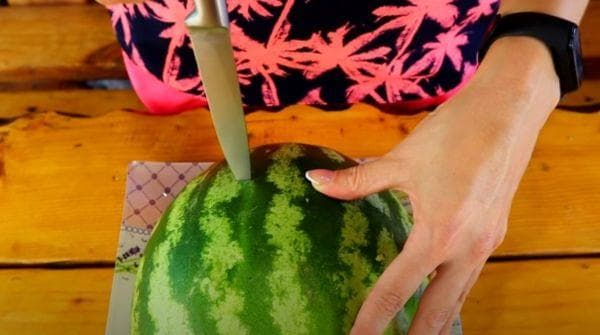 Wassermelonen-Eis 1
