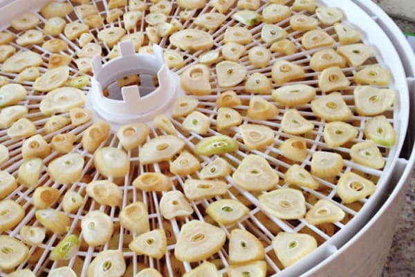 Knoblauch im Dörrgerät